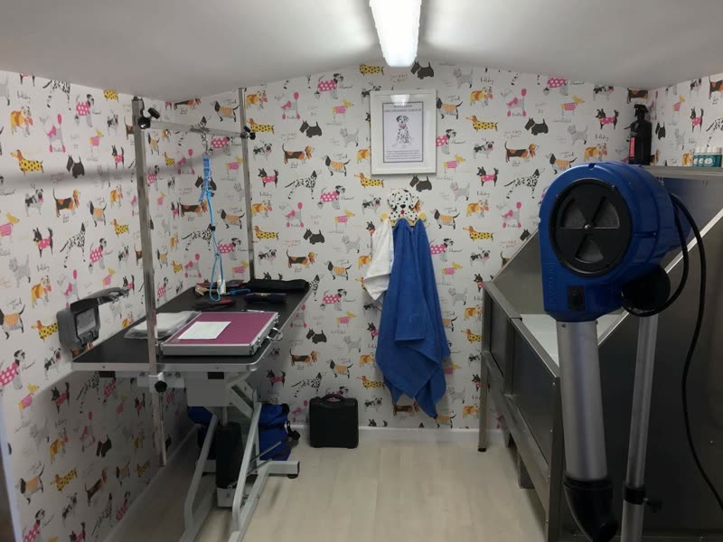 The grooming room: hydraulic table, blue blaster dryer, stainless bath and dog-print wallpaper